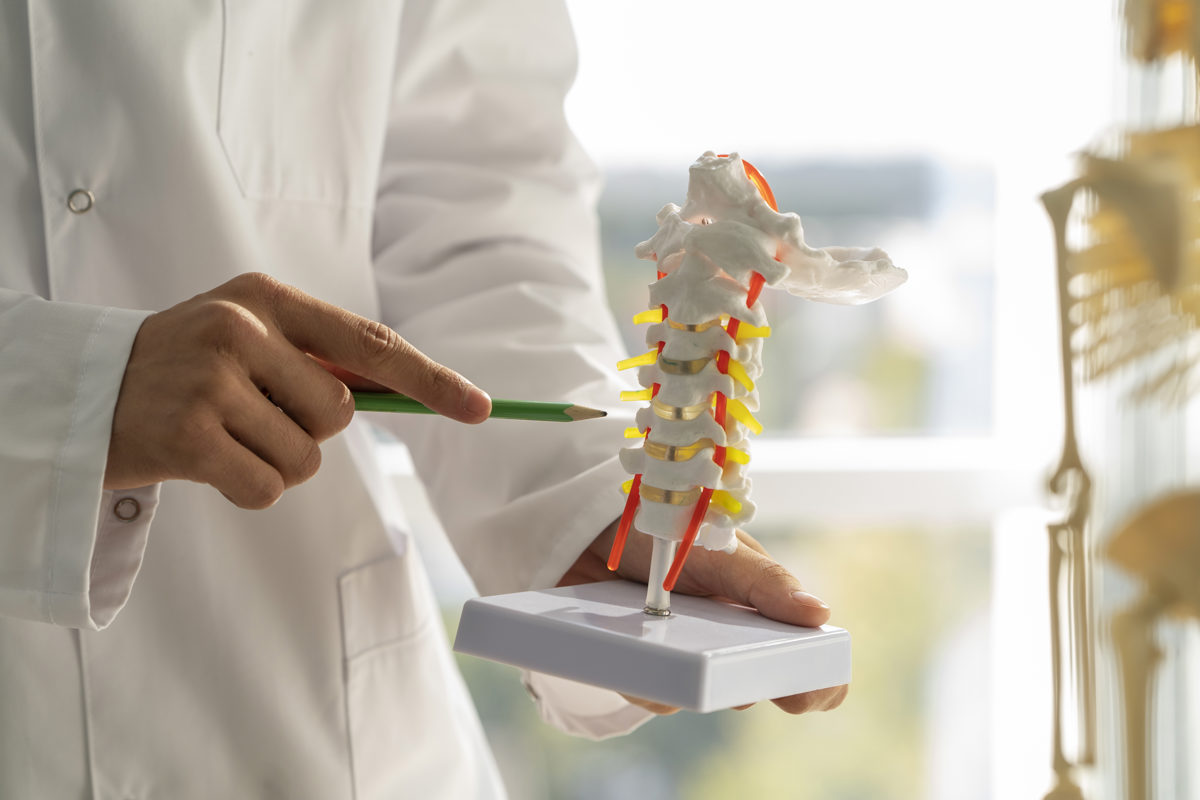 Endoscopic Spine